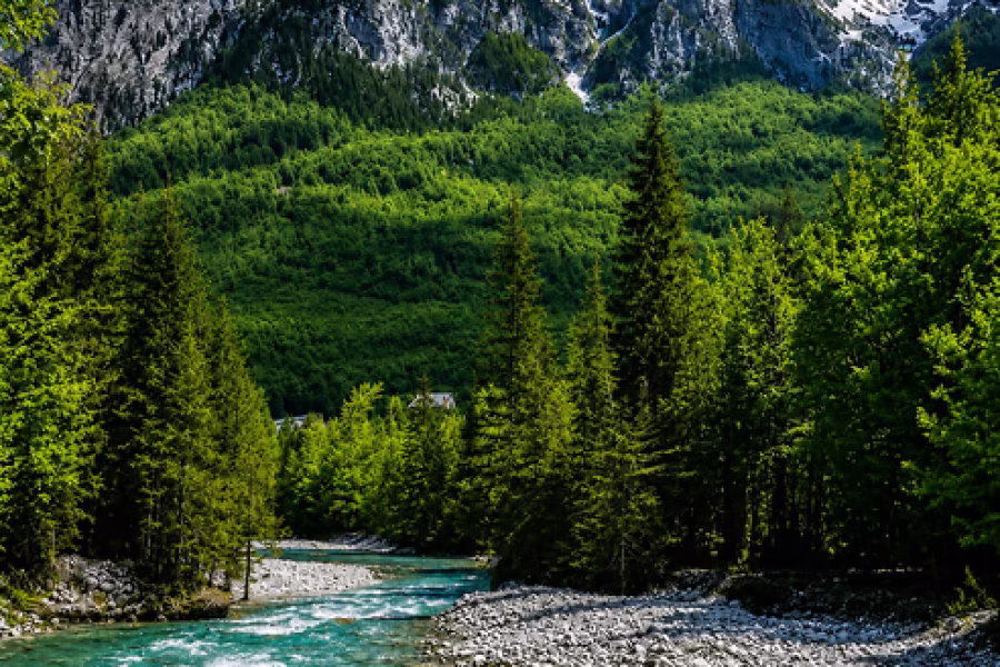 Tirana/Durres/Golem: Theth to Valbona Pass Hiking Day Tour